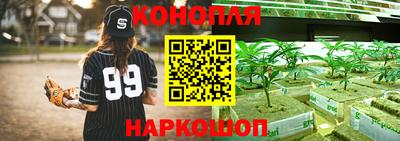 МДПВ Партизанск