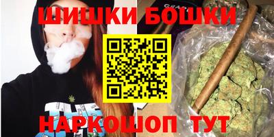 МДПВ Партизанск