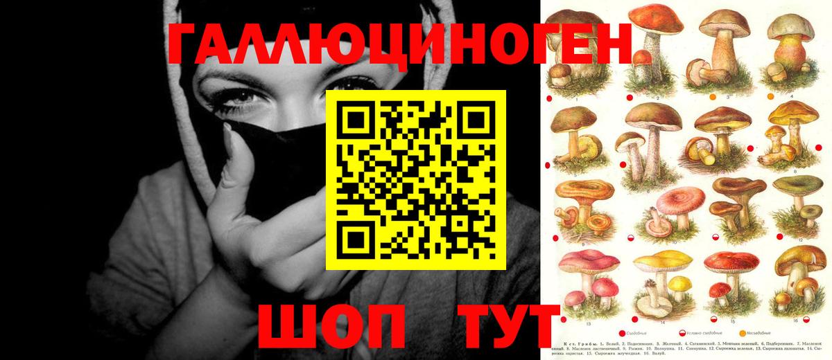 Псилоцибиновые грибы Cubensis Трёхгорный